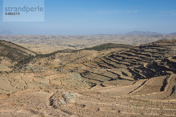 Terrassenfelder  Filfil  Eritrea  Afrika