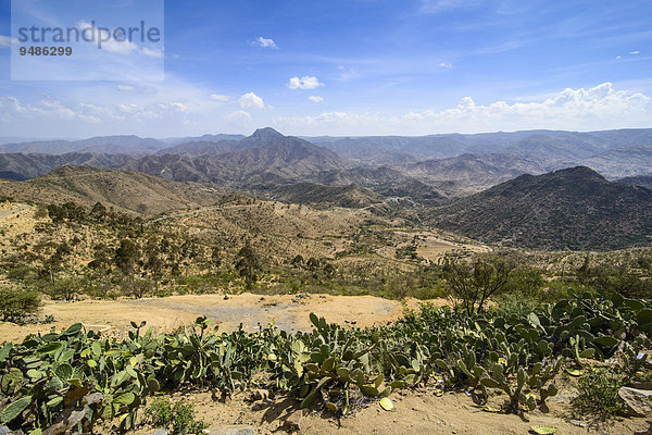 Berglandschaft  Region Semienawi Kayih Bahri  Eritrea  Afrika