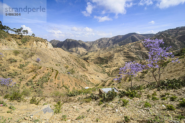 Berglandschaft  Region Semienawi Kayih Bahri  Eritrea  Afrika