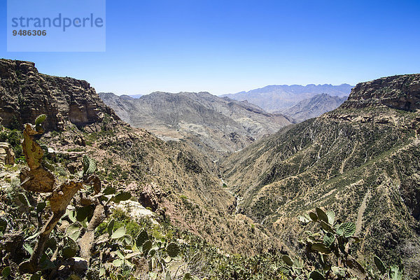 Riesige Felsschlucht bei Qohaito  Eritrea  Afrika