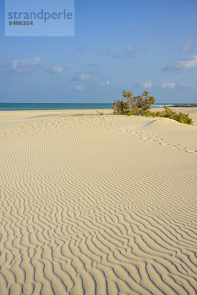 Strand von Amak  Insel Sokotra  Jemen  Asien