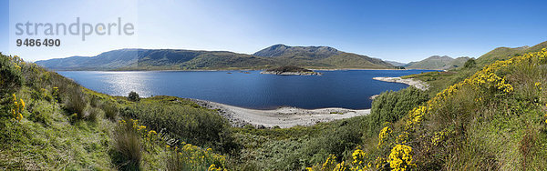 Panoramaaufnahme  Loch Cluanie  Schottland  Großbritannien  Europa