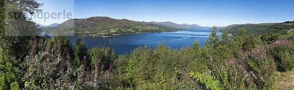 Panorama  Landschaft am Loch Carron  Schottland  Großbritannien  Europa