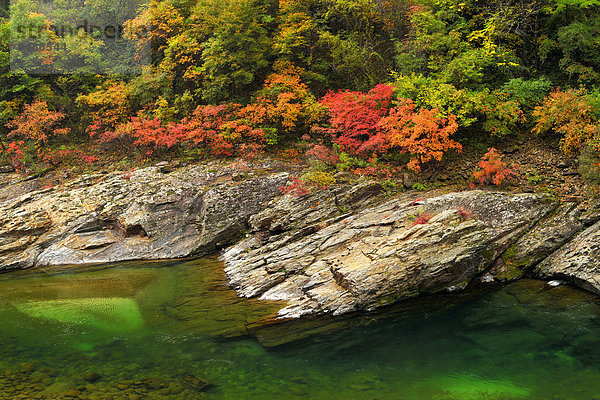 Schwarzer Fluss in Herbstlandschaft  Heihe Nationalpark  Qinling Gebirge  Provinz Shaanxi  China  Asien
