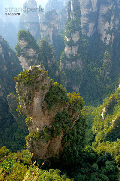 '''Avatar''-Berge mit Felsnadeln aus Quarzsandstein  Zhangjiajie Nationalpark  Provinz Hunan  China  Asien'