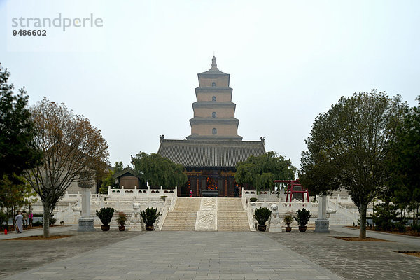 Große Wildganspagode  buddhistische Pagode  X'ian  Provinz Shaanxi  China  Asien