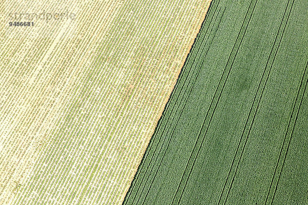Luftaufnahme Getreidefelder  Landshut  Niederbayern  Bayern  Deutschland  Europa