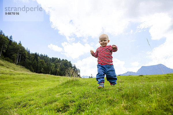 Kleinkind  1 5 Jahre  bei einer Sommerwanderung in den Schweizer Bergen im Alpstein  Appenzell  Schweiz  Europa