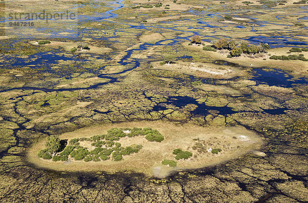 Luftbild  typische Landschaft der Frischwassersümpfe mit Bächen  Kanälen und Inseln  Okavango Delta  Botswana  Afrika