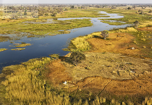 Luftbild  der Gomoti mit angrenzendem Frischwassersumpf  Okavango Delta  Botswana  Afrika
