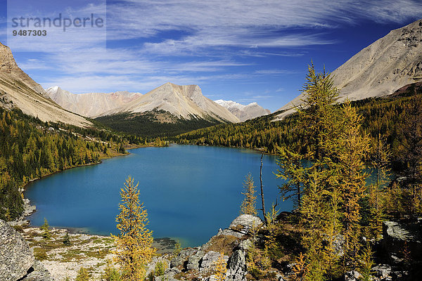 Rocky Mountains mit mit türkisblauem Skoki Lake im Herbst  Banff-Nationalpark  Alberta  Kanada  Nordamerika