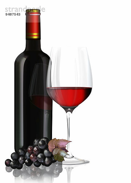 Rotweinglas  Rotweinflasche  Weintrauben  Illustration