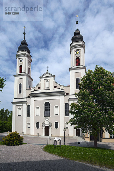 Klosterkirche  Kloster Irsee  Irsee  Bayern  Deutschland  Europa