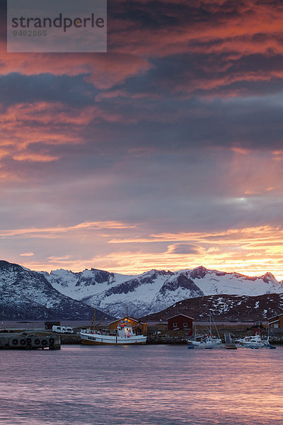 Ferienhäuser in Somaroy  Tromsø  Troms  Norwegen  Europa