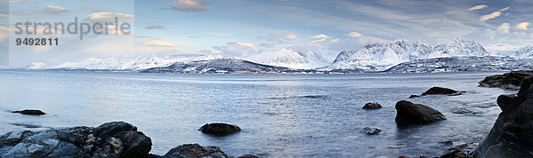 Küste bei Oldervik  Ullsfjorden  Oldervik  Tromso  Norwegen  Europa