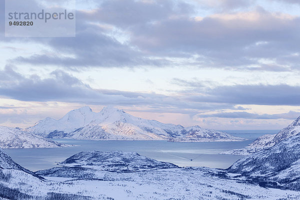 Winter über dem Kaldfjorden  Kvaloya  Mikkelvik  Troms  Norwegen  Europa