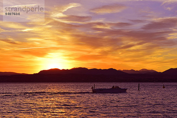 Boot im Gardasee  Lago di Garda  vor Sonnenuntergang  hinten Desenzano del Garda  Sirmione  Lombardia  Italien  Europa