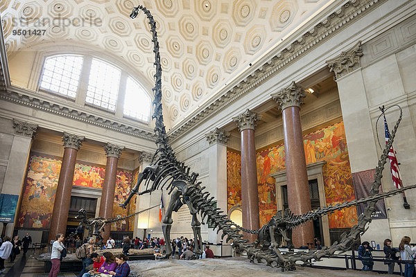 Dinosaurierskelett  Metropolitan Museum of Art  Manhattan  New York  USA  Nordamerika