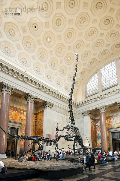 Dinosaurierskelette  Metropolitan Museum of Art  Manhattan  New York  USA  Nordamerika