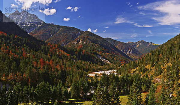 Risstal im Herbst  bei Hinterriss Tirol  Österreich  Europa