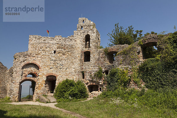 Ruine der Burg Staufen  Staufen im Breisgau  Schwarzwald  Baden-Württemberg  Deutschland  Europa