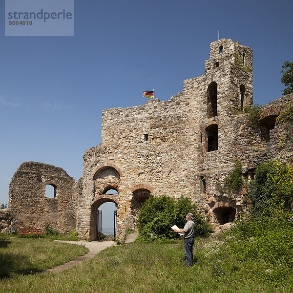 Mann mit Landkarte vor Ruine der Burg Staufen  Staufen im Breisgau  Schwarzwald  Baden-Württemberg  Deutschland  Europa