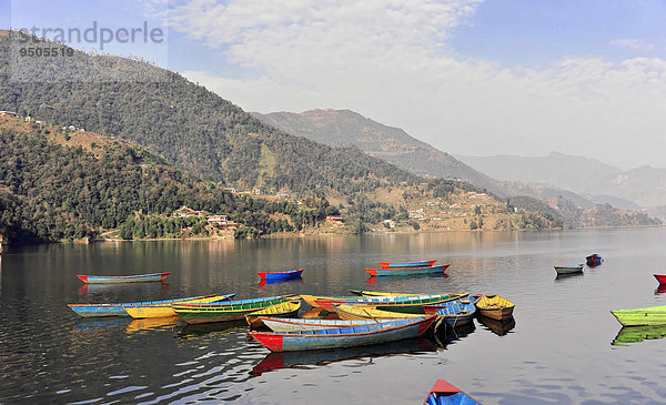 Ruderboote auf dem Phewa-See  Pokhara  Nepal  Asien