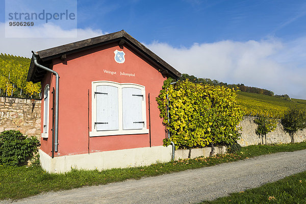 Lagerhaus in den Weinbergen  Weingut Juliusspital Würzburg  Würzburg  Bayern  Deutschland  Europa