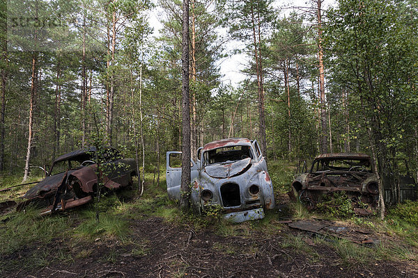 Autofriedhof im Wald  Schrottautos  Kyrkö Mosse  bei Ryd  Smaland  Schweden  Europa