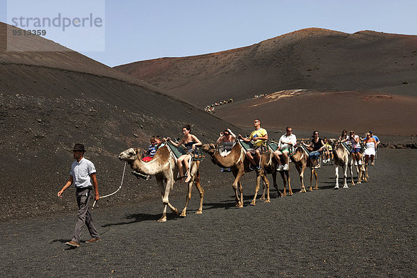 Reiten  Kamele  Dromedare  Vulkanlandschaft  Feuerberge  Nationalpark Timanfaya  Lanzarote  Kanarische Inseln  Spanien  Europa