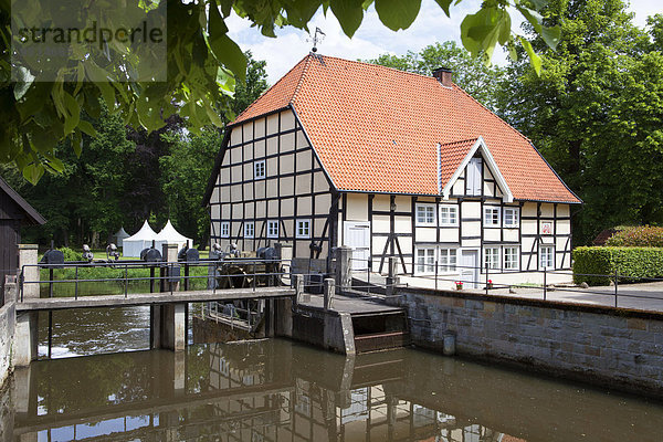Wassermühle an der Ems  Schlossmühle von Schloss Rheda  Rheda-Wiedenbrück  Nordrhein-Westfalen  Deutschland  Europa