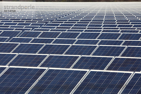 Freiflächen-Photovoltaikanlage  Solarpark Troisdorf F+S  Troisdorf-Oberlar  Nordrhein-Westfalen  Deutschland  Europa