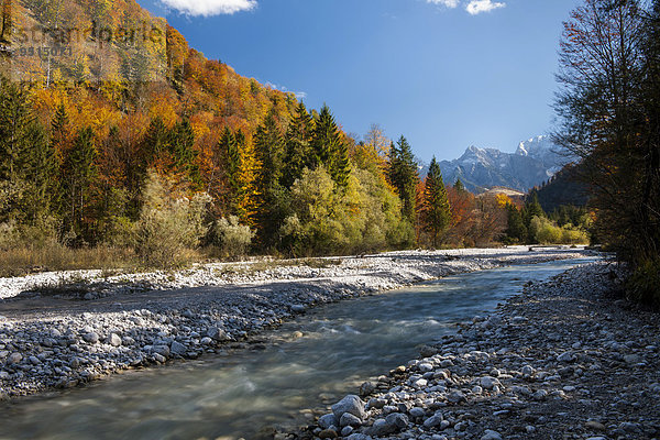 Alm  Almfluss im Herbst  Grünau  Almtal  Salzkammergut  Oberösterreich  Österreich  Europa