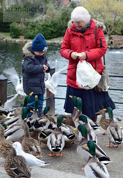 Ältere Frau und ein kleiner Junge beim Entenfüttern  Ystad  Schweden  Europa