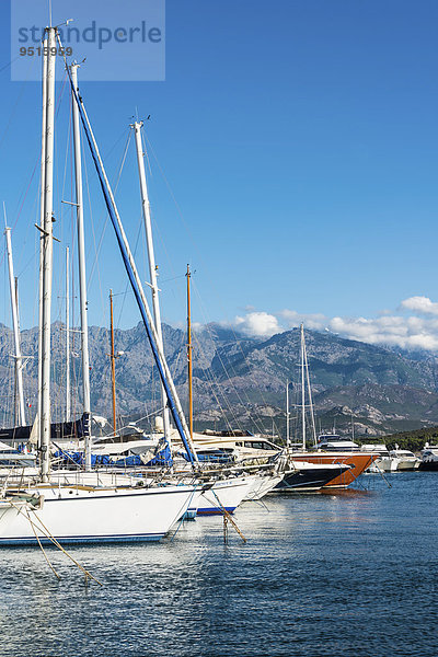 Angelegte Segelboote  Calvi  Korsika  Frankreich  Europa