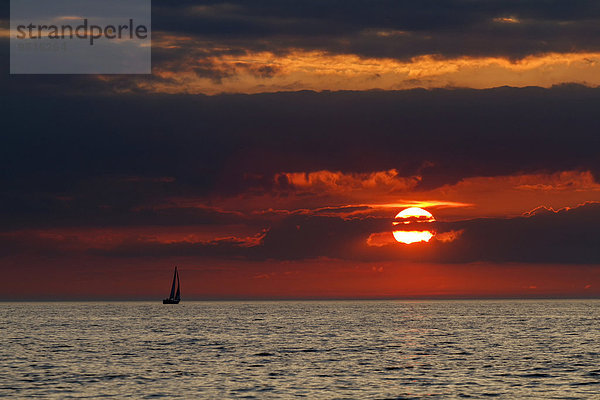 Sonnenuntergang mit Segelboot auf der Ostsee  Gellen  Plogshagen  Hiddensee  Mecklenburg-Vorpommern  Deutschland  Europa