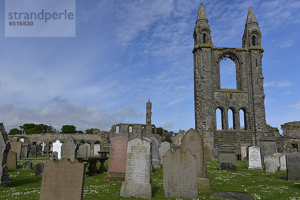 St Andrews Cathedral und Friedhof  St Andrews  Grafschaft Fife  Schottland  Großbritannien  Europa