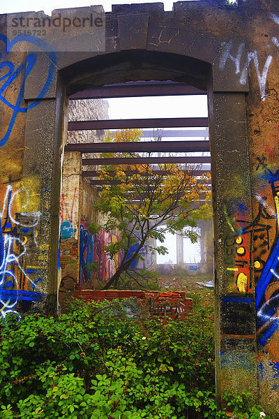 Ruinen der Kaserne mit Graffiti  Tête du Chien  La Turbie  Département Alpes Maritimes  Provence-Alpes-Côte d?Azur  Frankreich  Europa