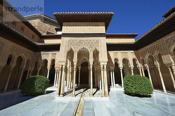 Arabeske maurische Architektur  Löwenhof  Na?ridenpaläste  Alhambra  Granada  Andalusien  SpanienAndalusien  Spanien  Europa