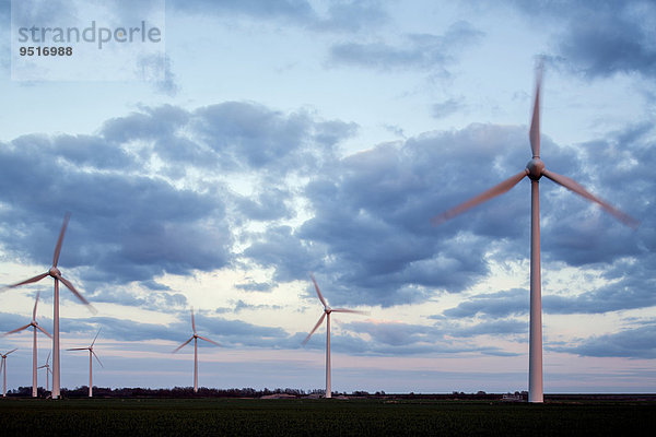 Windpark Wybelsumer Polder  Emden  Ostfriesland  Niedersachsen  Deutschland  Europa