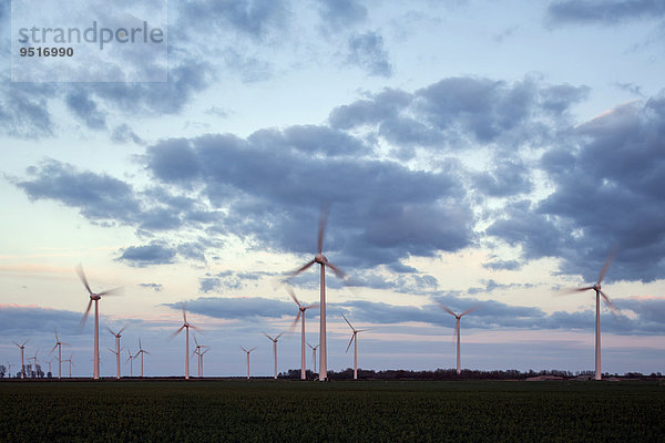 Windpark Wybelsumer Polder Emden  Ostfriesland  Niedersachsen  Deutschland  Europa