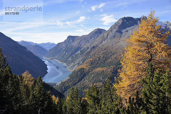 Aussicht auf den Lago di Livigno  Munt la Schera  Schweizerischer Nationalpark  Unterengadin  Kanton Graubünden  Schweiz  Europa