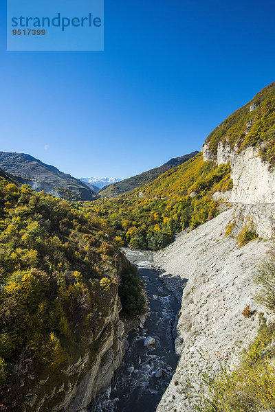 Schlucht am Argun Fluss  tschetschenische Berge  Tschetschenien  Kaukasus  Russland  Europa