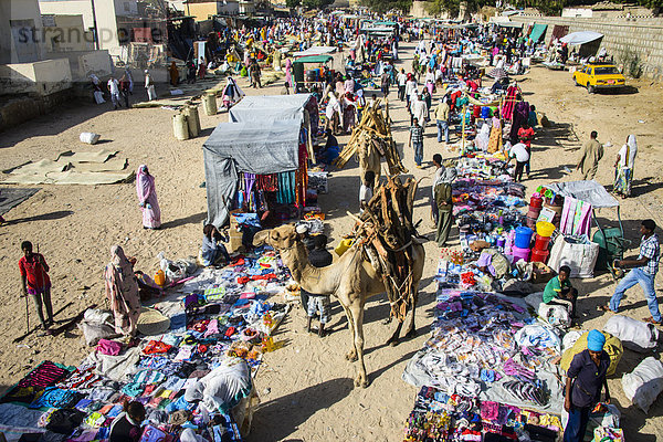 Bepackte Kamel durchqueren den bunten Montagsmarkt von Keren  Eritrea  Afrika