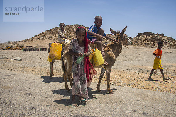 Kinder mit einem Esel auf dem Weg zu einer Wasserstelle  im Flachland  Eritrea  Afrika