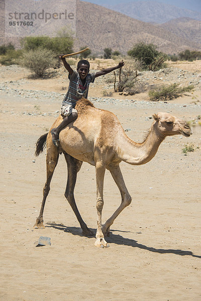 Junge reitet auf einem Kamel  im Flachland  Eritrea  Afrika