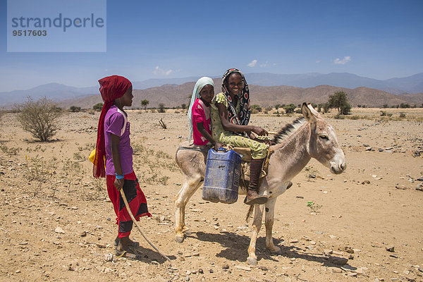 Kinder mit dem Esel auf dem Weg zu einer Wasserstelle  im Flachland  Eritrea  Afrika