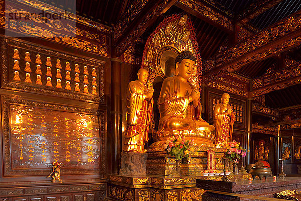 Goldene Buddha-Statue und Reliquien in der Großen Wildganspagode  Xi'an  Provinz Shaanxi  China  Asien
