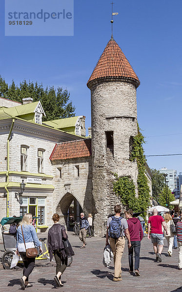 Viru-Tor mit Stadtmauer in der Altstadt  Tallinn  Estland  Europa