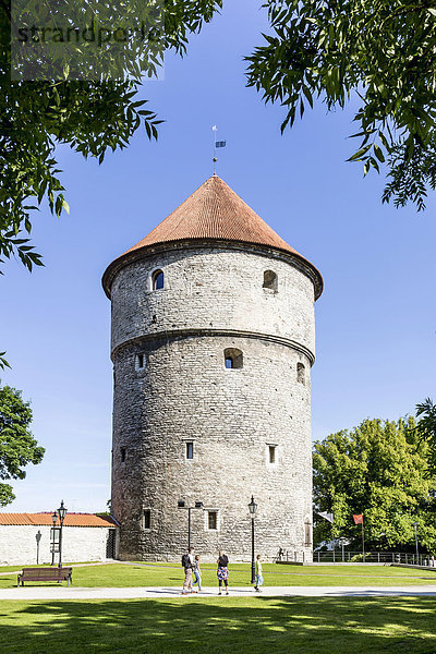 Turm Kiek in de Kök auf dem Domberg  Stadtmauer  Oberstadt  Altstadt  Tallinn  Estland  Europa